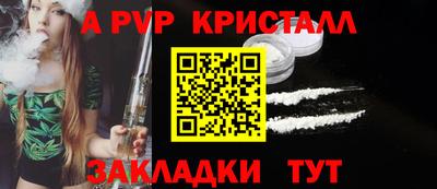 прущие грибы Нальчик
