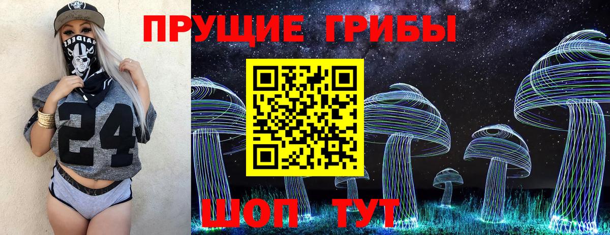 Торжок  Псилоцибиновые грибы прущие грибы  Вход с VPN 