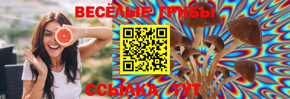 Галлюциногенные грибы MAGIC MUSHROOMS Торжок
